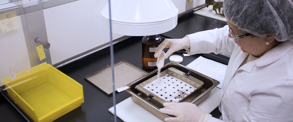 Senior lab technicians pours remedies from the stock bottle into glass vials underneath a stainless steel tray protected by a specially designed venting system.